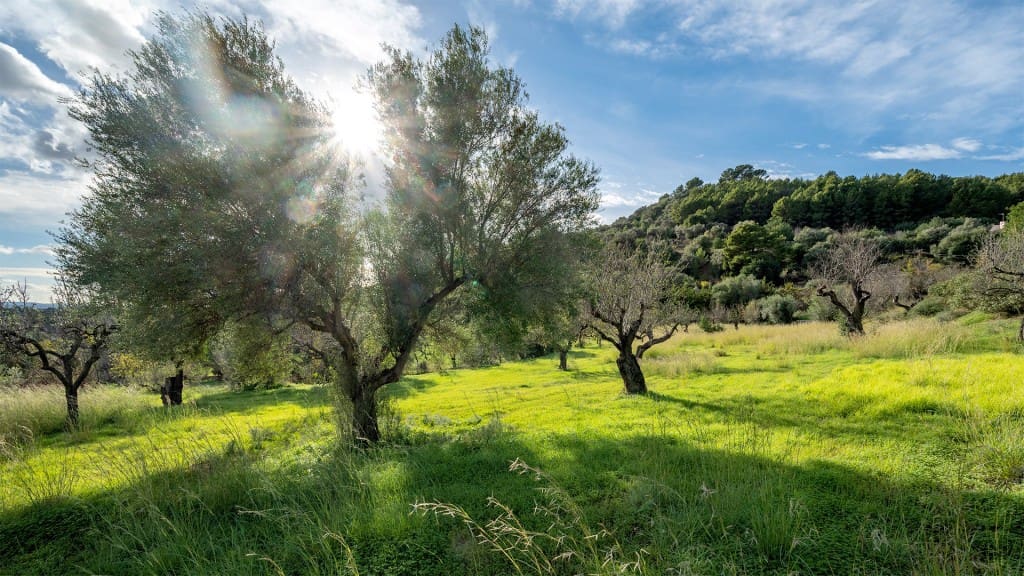 Byggetomt til salgs i Selva - € 490 000 (Ref: 9169418)