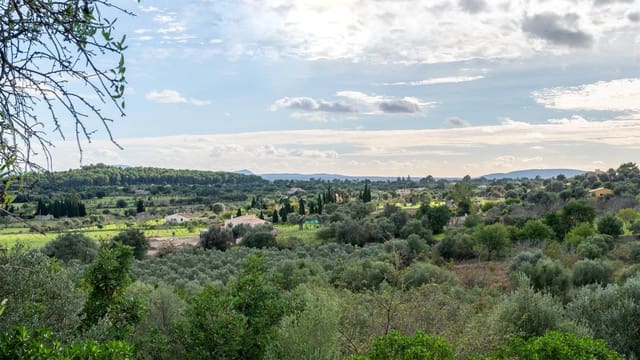 Bouwgrond te koop in Selva - € 490.000 (Ref: 9169418)