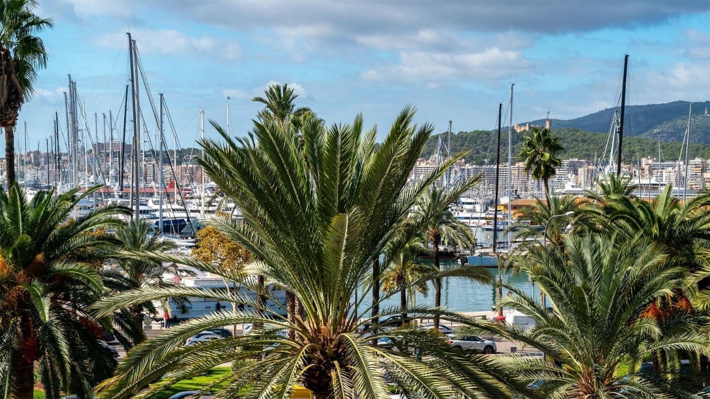 1 slaapkamer Appartement te koop in Palma de Mallorca - € 1.350.000 (Ref: 9300747)