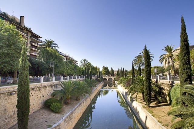 1 bedroom Apartment for rent in Palma de Mallorca - € 1,400 (Ref: 9310585)