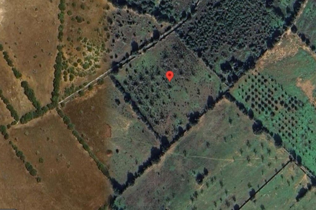 Building Plot for sale in Ses Salines - € 540,000 (Ref: 9512065)