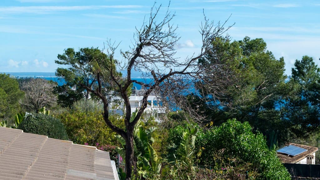 5 soveværelse Villa til salg i Cala Vinyes / Cala Vinyas / Cala Vinas med swimmingpool - € 2.595.000 (Ref: 9573973)