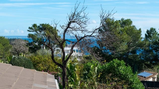 5 slaapkamer Villa te koop in Cala Vinyes / Cala Vinyas / Cala Viñas, Calvià met zwembad - € 2.595.000 (Ref: 9573973)