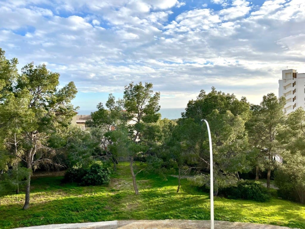 4 slaapkamer Penthouse te huur in Palma de Mallorca met zwembad - € 3.000 (Ref: 9604581)