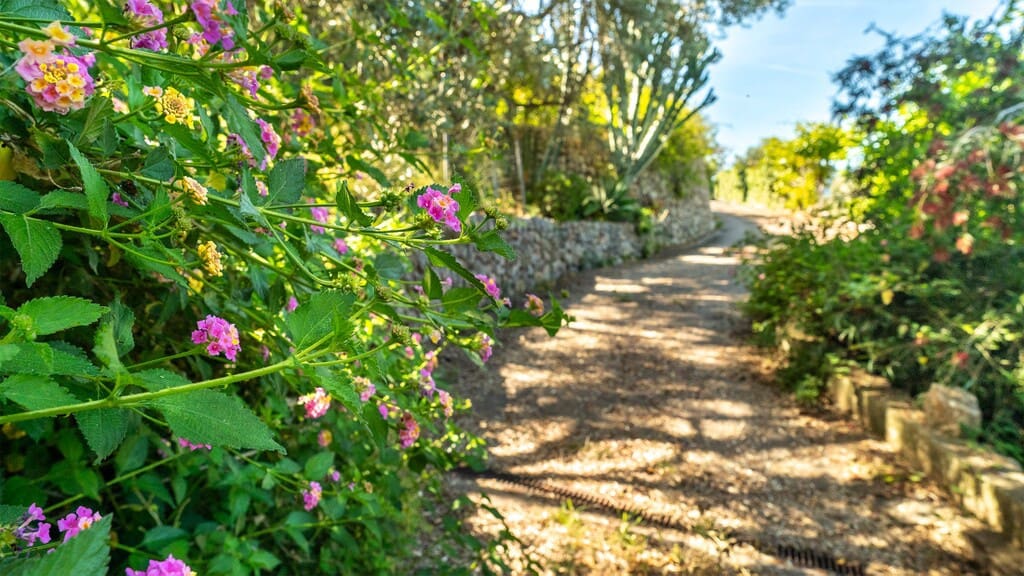 6 bedroom Finca/Country House for sale in Soller - € 4,500,000 (Ref: 9817807)