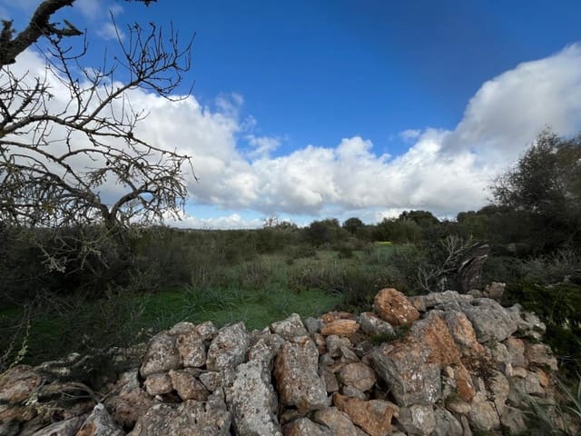 Terreno para Construção para venda em Ses Salines - 575 000 € (Ref: 9824698)