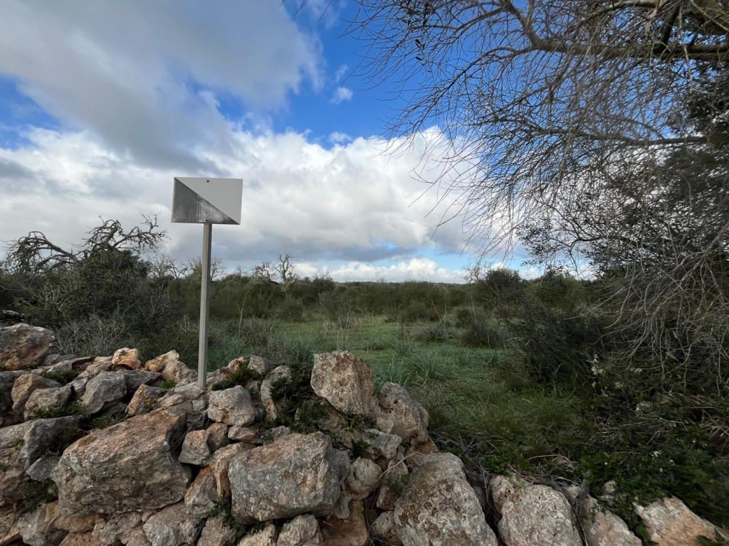 Building Plot for sale in Ses Salines - € 575,000 (Ref: 9824698)