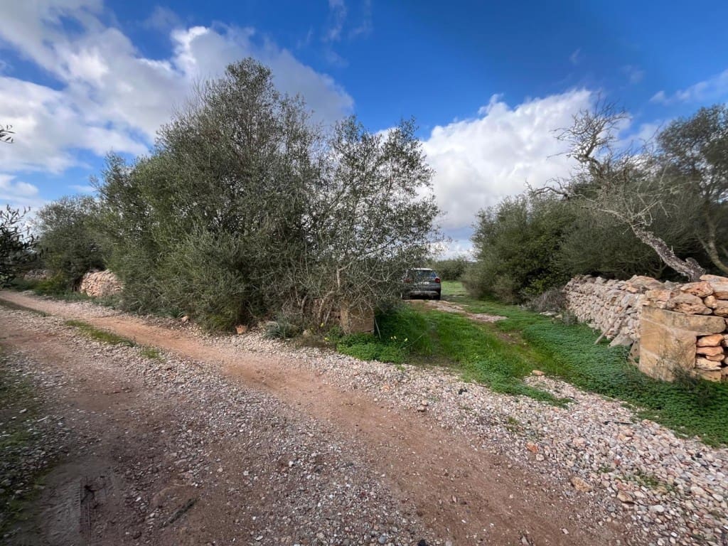 Building Plot for sale in Ses Salines - € 575,000 (Ref: 9824698)