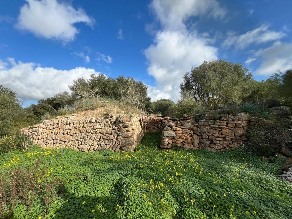 Building Plot for sale in Ses Salines - € 575,000 (Ref: 9824698)