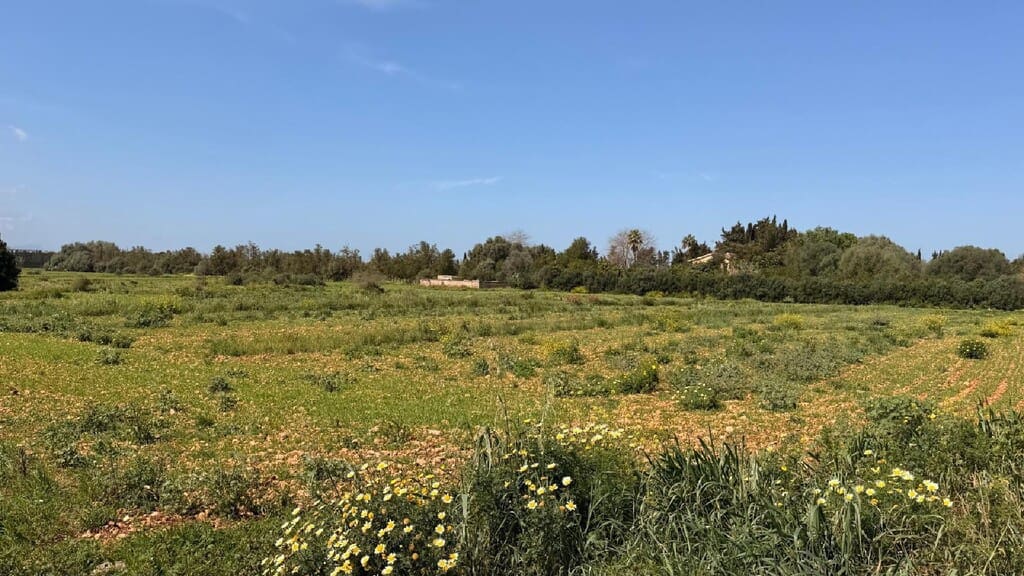 Terrain à Bâtir à vendre à Llubi - 1 200 000 € (Ref: 9859623)