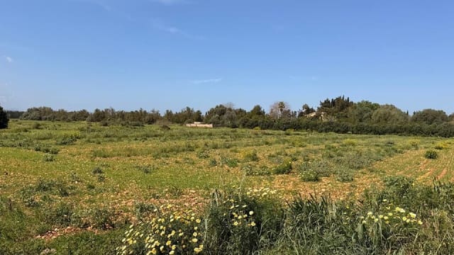 Byggetomt til salgs i Llubí - € 1 200 000 (Ref: 9859623)