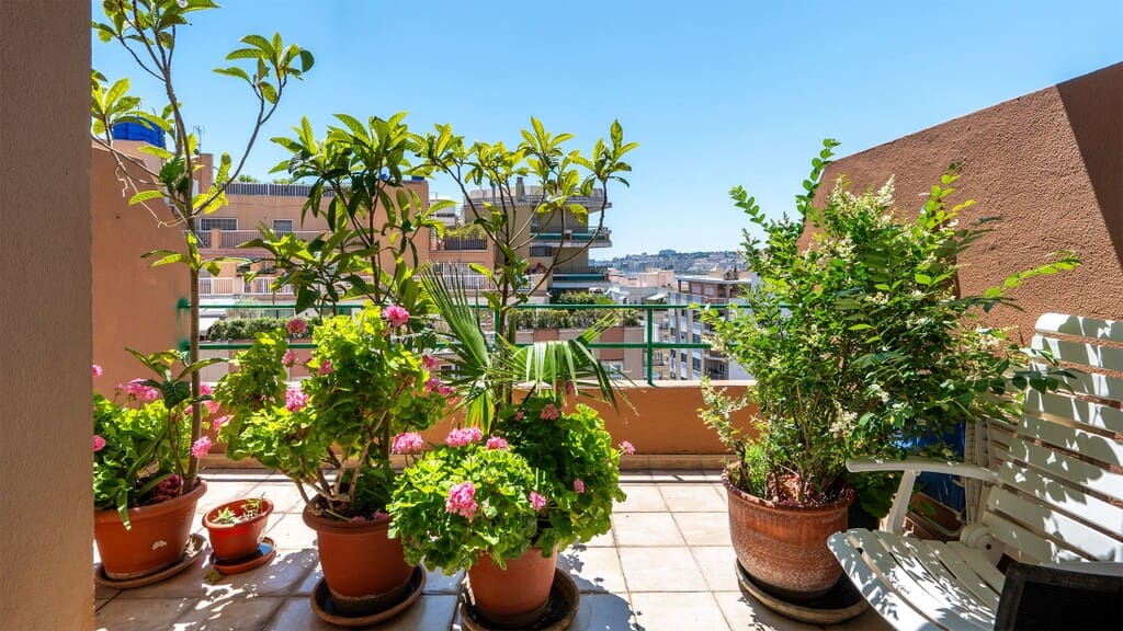 3 quarto Penthouse para venda em Palma de Mallorca - 1 100 000 € (Ref: 9861650)