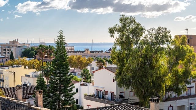 2 bedroom Apartment for rent in Son Armadans, Palma de Mallorca - € 2,100 (Ref: 9952045)
