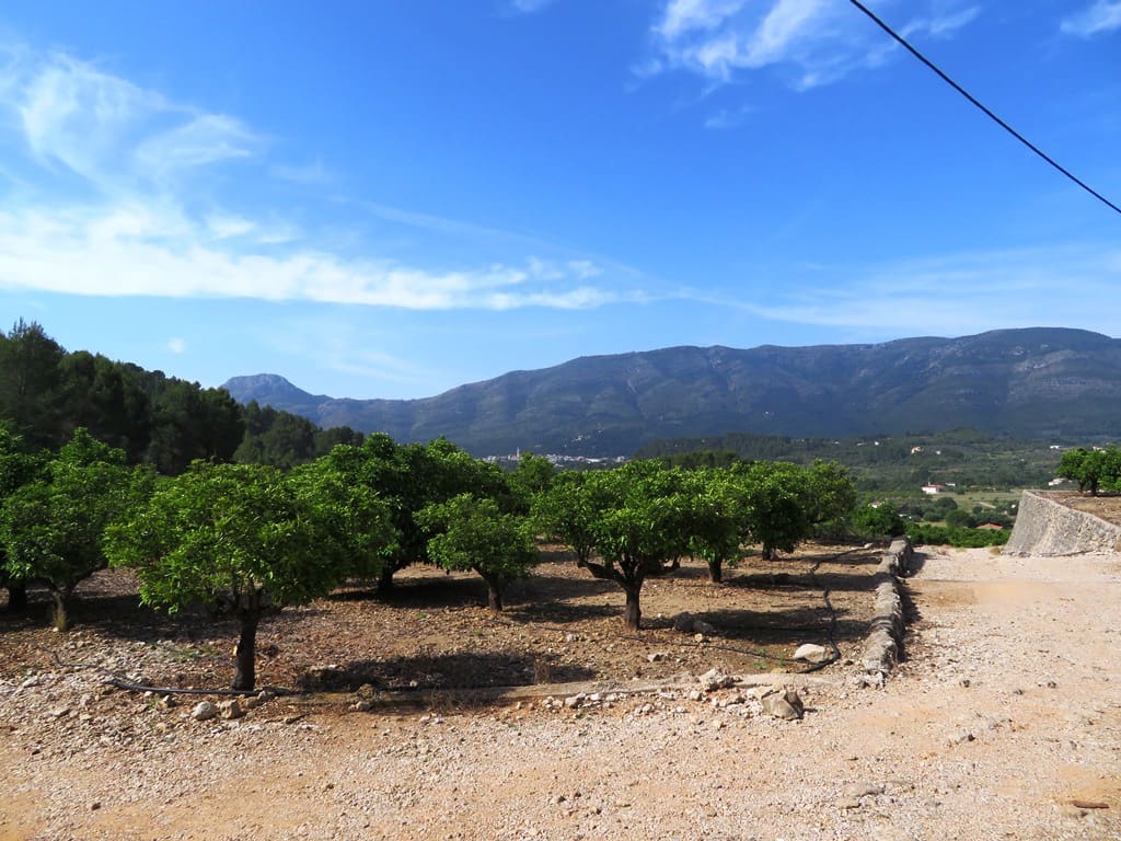 Landgrundstück zu verkaufen in Murla - 998.000 € (Ref: 10022914)