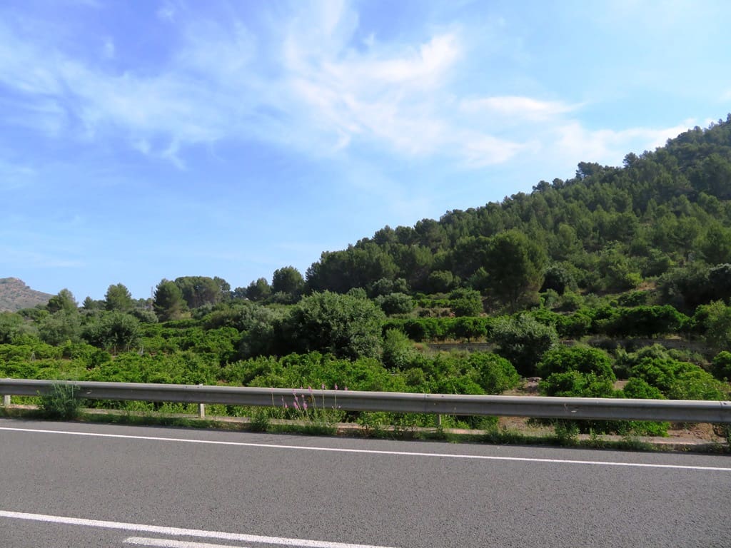 Landgrundstück zu verkaufen in Murla - 998.000 € (Ref: 10022914)