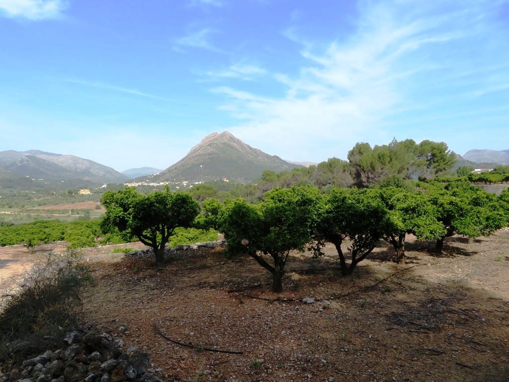 Landgrundstück zu verkaufen in Murla - 998.000 € (Ref: 10022914)