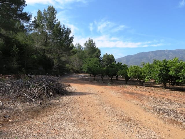 Landgrundstück zu verkaufen in Murla - 998.000 € (Ref: 10022914)