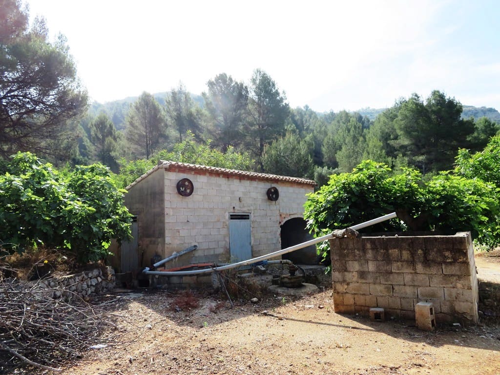 Landgrundstück zu verkaufen in Murla - 998.000 € (Ref: 10022914)