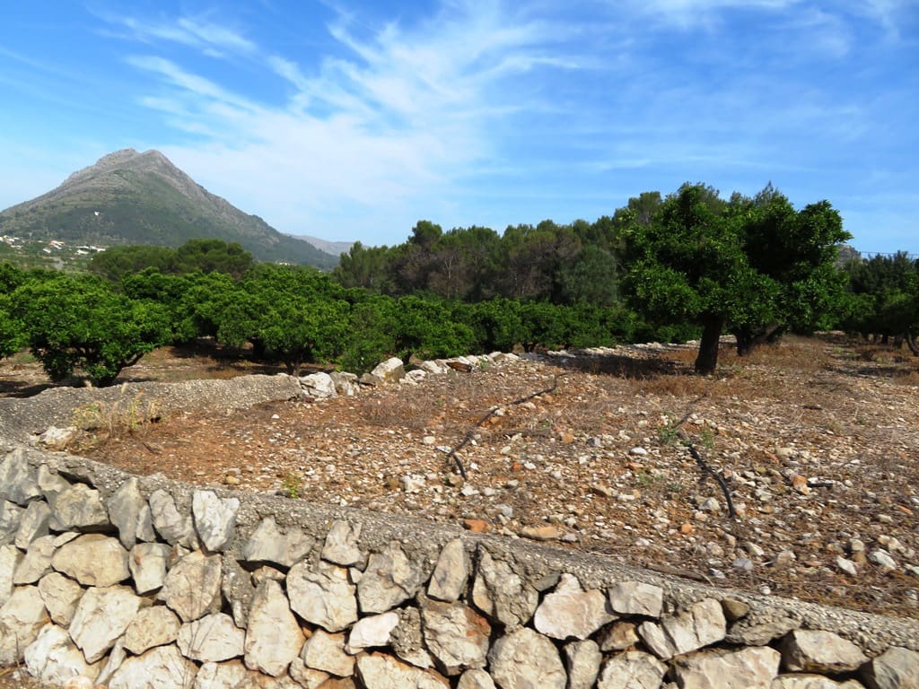Landgrundstück zu verkaufen in Murla - 998.000 € (Ref: 10022914)