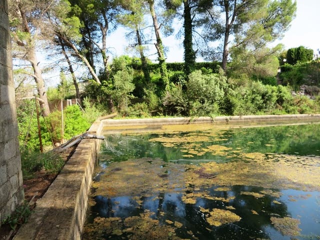 Landgrundstück zu verkaufen in Murla - 998.000 € (Ref: 10022914)
