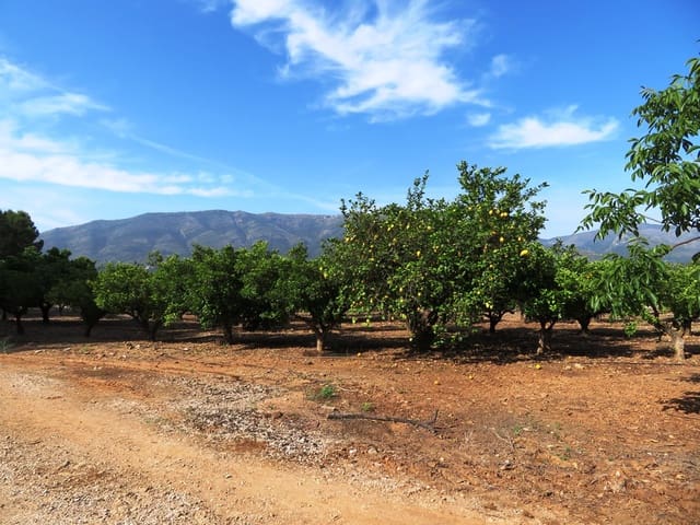 Landgrundstück zu verkaufen in Murla - 998.000 € (Ref: 10022914)