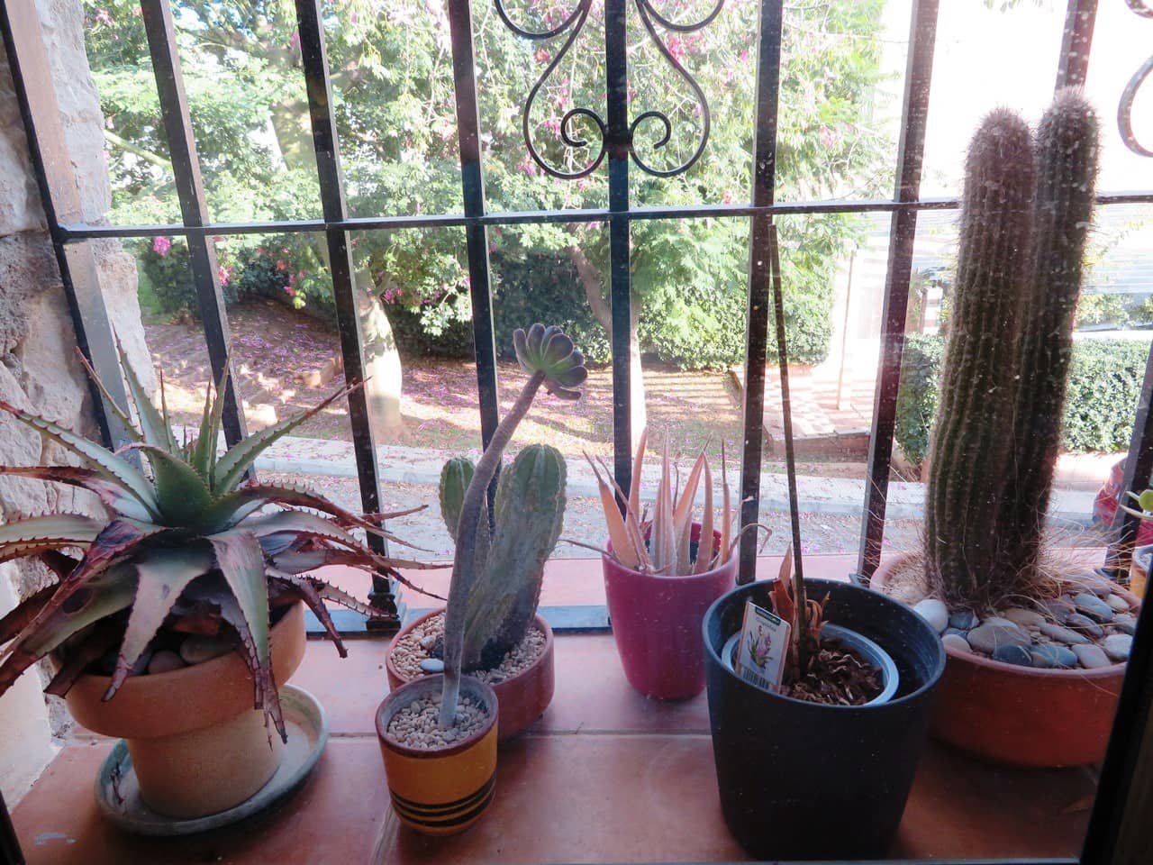 5 bedroom Townhouse for sale in Pego - € 280,000 (Ref: 8279416)