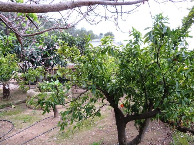 2 soverom Villa til salgs i Pego - € 200 000 (Ref: 8864127)