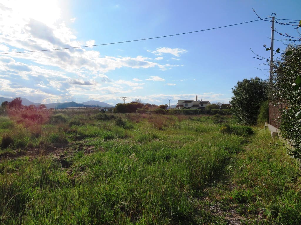 Grunde uden byggetilladelser til salg i Oliva - € 59.000 (Ref: 8897536)