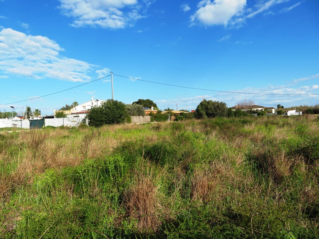 Grunde uden byggetilladelser til salg i Oliva - € 59.000 (Ref: 8897536)