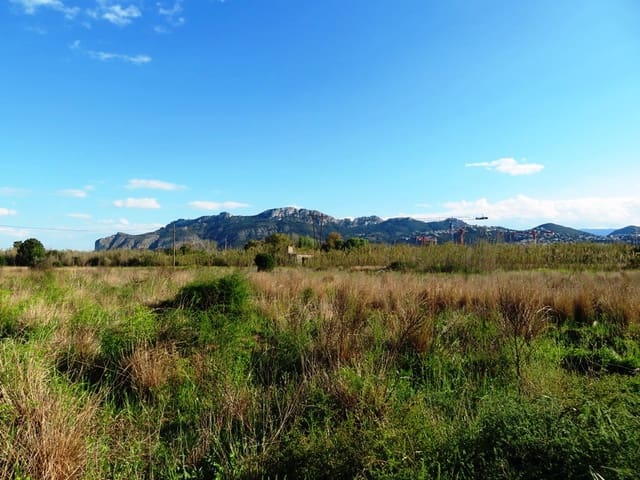 Undeveloped Land for sale in Oliva - € 59,000 (Ref: 8897536)