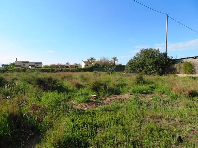Undeveloped Land for sale in Oliva - € 59,000 (Ref: 8897536)