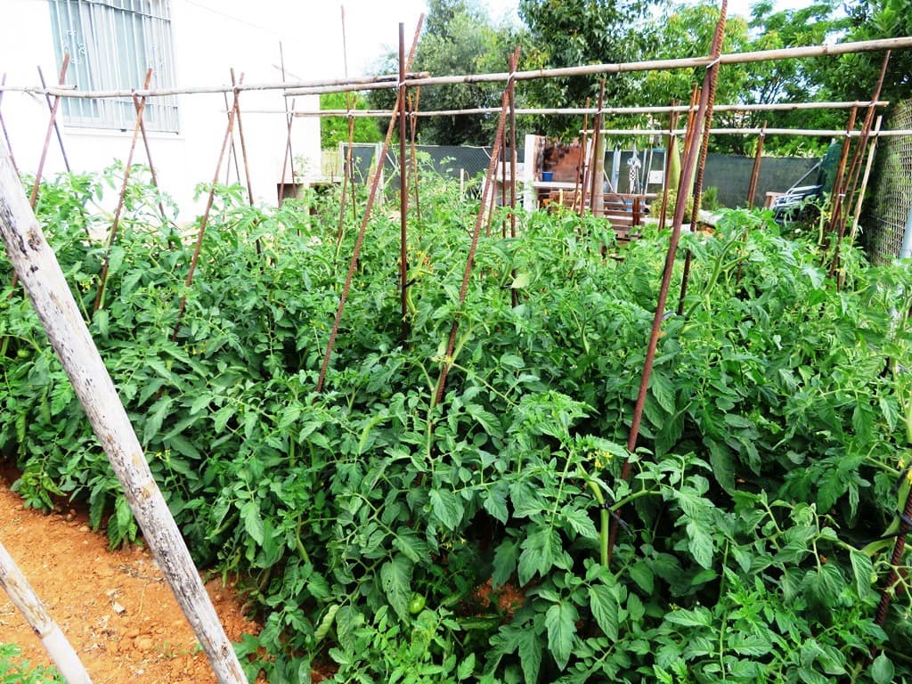 4 Zimmer Villa zu verkaufen in Denia mit Pool Garage - 495.000 € (Ref: 9013177)