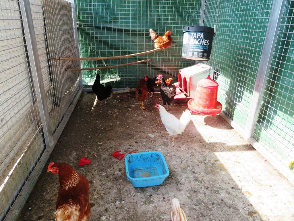 4 Zimmer Villa zu verkaufen in Denia mit Pool Garage - 495.000 € (Ref: 9013177)