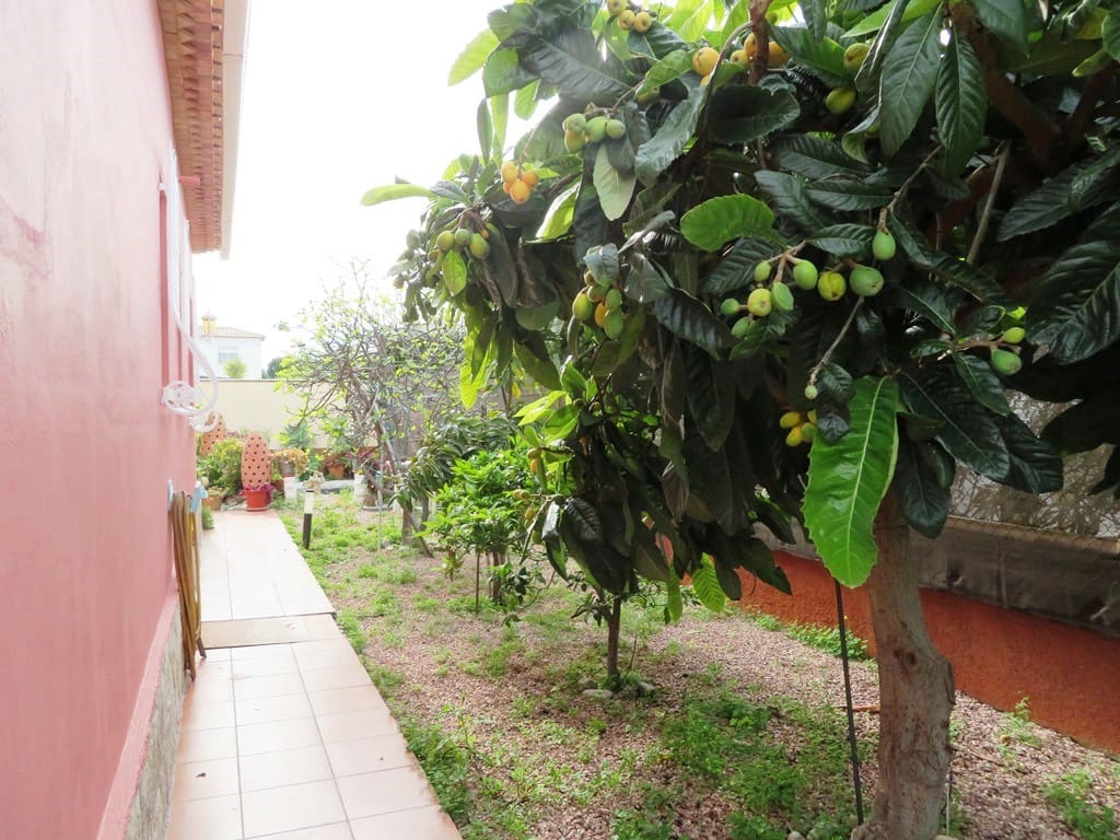 3 sypialnia Willa na sprzedaż w Els Poblets - 324 000 € (Ref: 9081818)