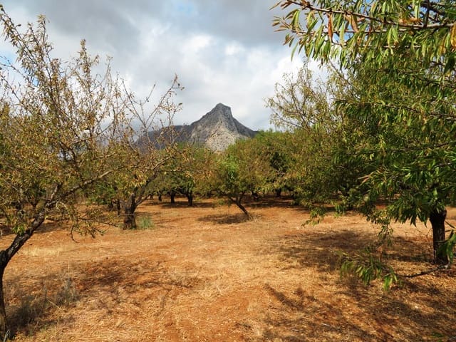 Townhouse for sale in Ondara - € 130,000 (Ref: 9257662)