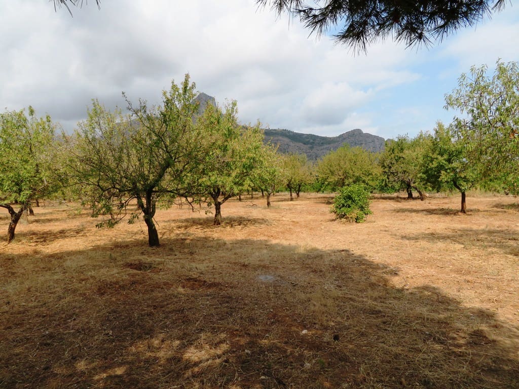 Hus til salgs i Ondara - € 130 000 (Ref: 9257662)