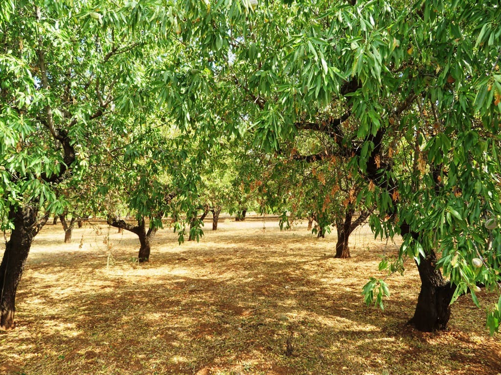Hus til salgs i Ondara - € 130 000 (Ref: 9257662)