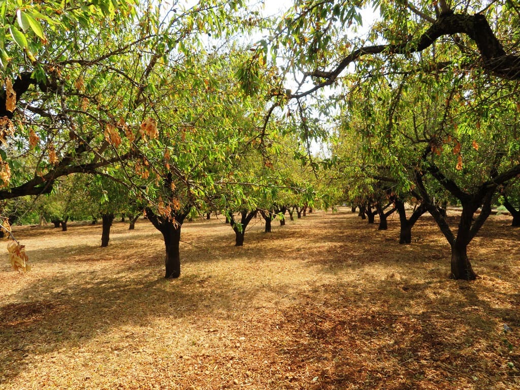 Hus til salgs i Ondara - € 130 000 (Ref: 9257662)