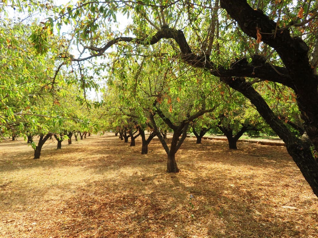 Hus til salgs i Ondara - € 130 000 (Ref: 9257662)