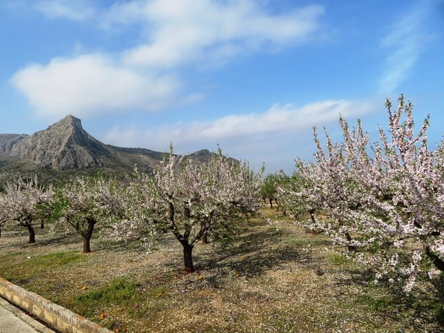 Townhouse for sale in Ondara - € 130,000 (Ref: 9257662)