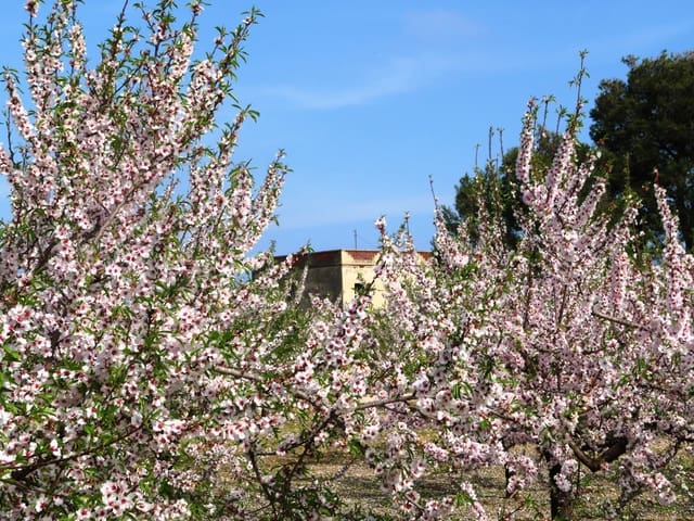 Townhouse for sale in Ondara - € 130,000 (Ref: 9257662)