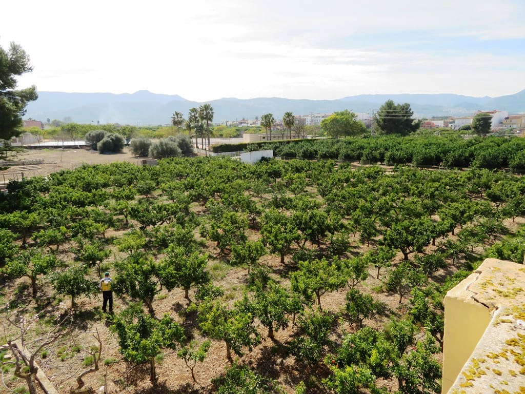 5 makuuhuone Maalaistalo myytävänä paikassa Beniarbeig mukana 
autotalli - 599 000 € (Ref: 9630457)