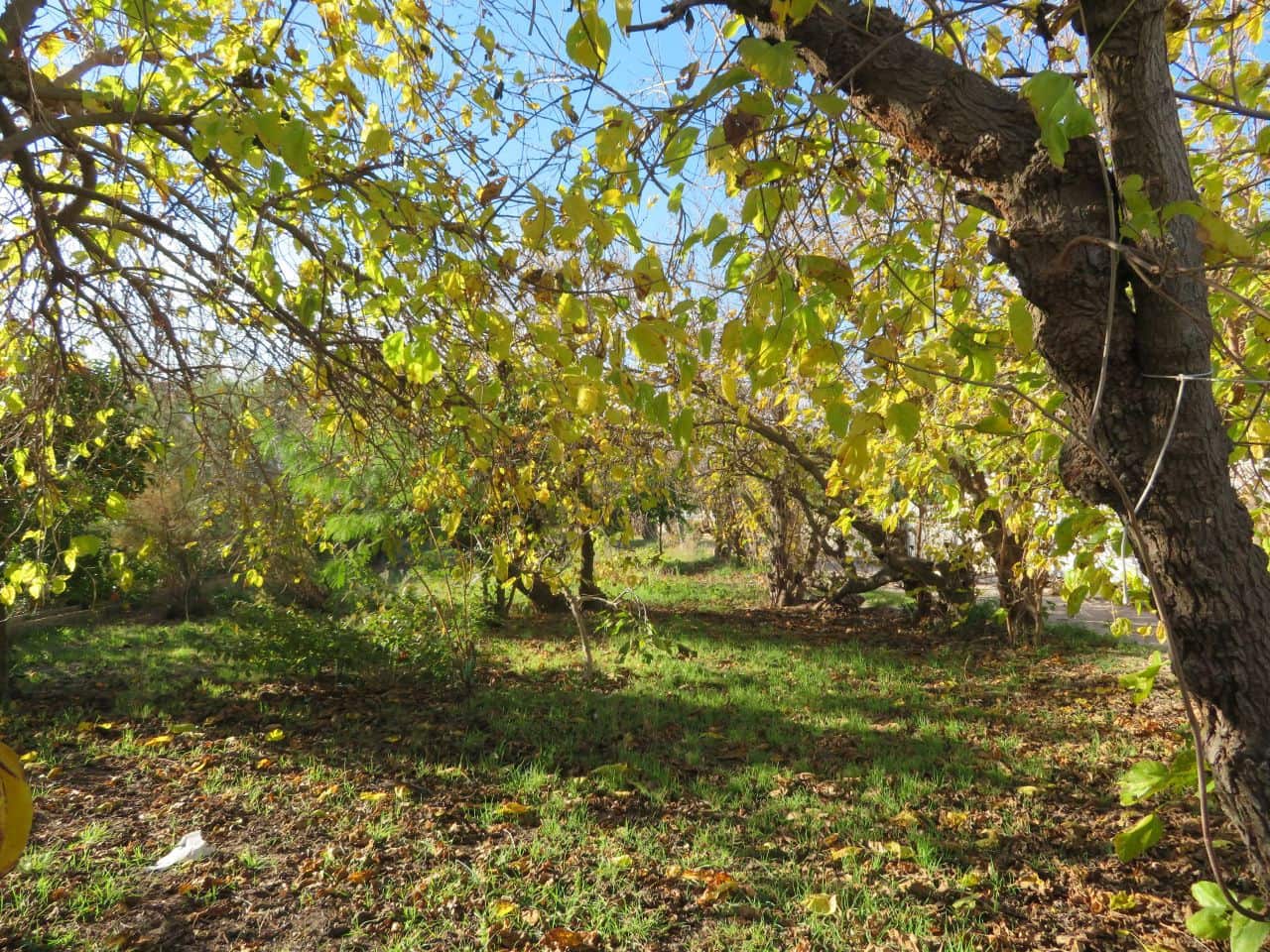 6 sypialnia Willa na sprzedaż w Denia z garażem - 790 000 € (Ref: 9944256)