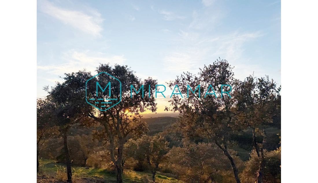 Finca/Herregård til salgs i Villablanca - € 140 000 (Ref: 9520587)