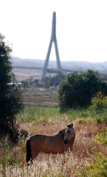 9 soveværelse Villa til salg i Ayamonte med swimmingpool garage - € 698.000 (Ref: 9252556)