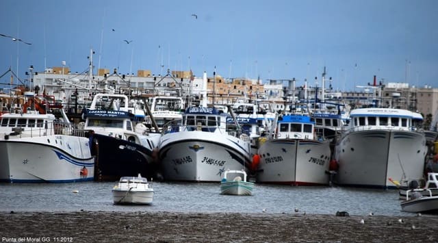 9 soverom Villa til salgs i Ayamonte med svømmebasseng garasje - € 698 000 (Ref: 9252556)