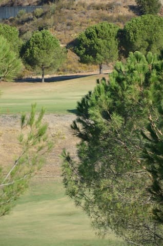 Grunde uden byggetilladelser til salg i Ayamonte - € 75.000 (Ref: 9283495)