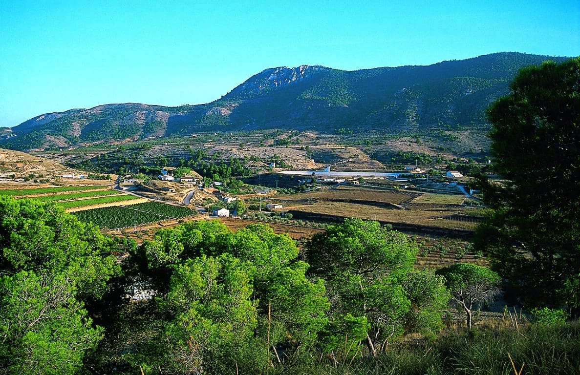 3 quarto Moradia para venda em Hondon de las Nieves com piscina garagem - 362 250 € (Ref: 9095808)