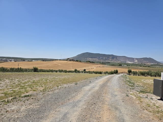 Finca/Casa Rural de 3 habitaciones en Morón de la Frontera en venta con piscina - 795.000 € (Ref: 9590331)