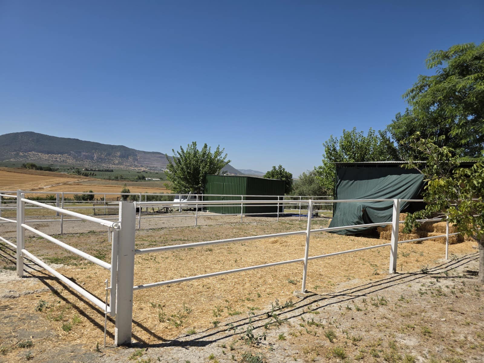 3 bedroom Finca/Country House for sale in Moron de la Frontera with pool - € 795,000 (Ref: 9590331)